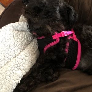 Meet your Posher, Angela